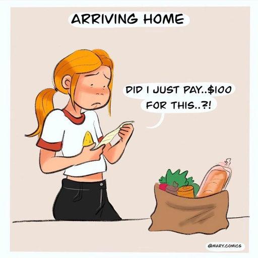 Arriving home with bag of groceries. Did I just pay..$100. For this..?!